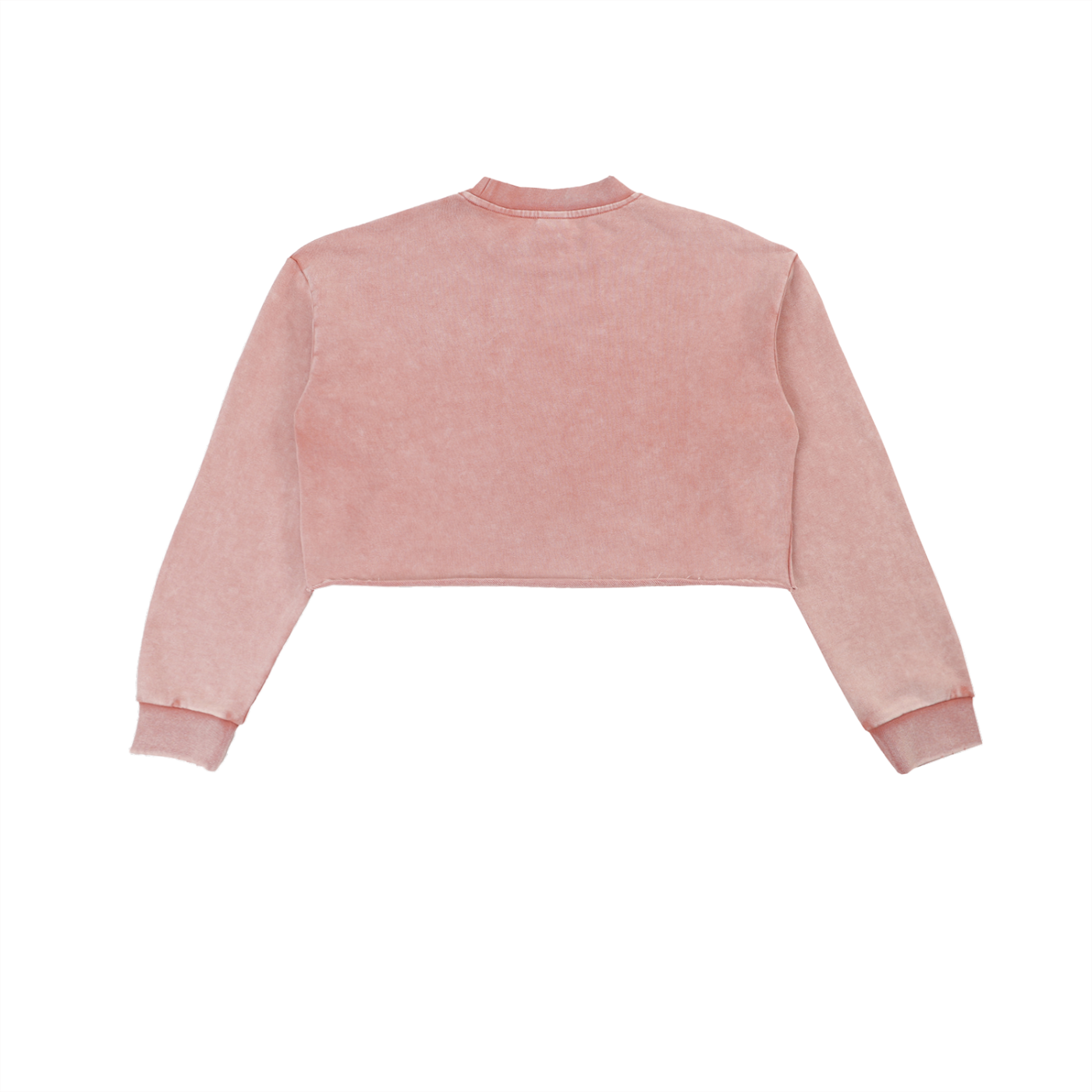 HER Washed Raw Edge Cropped Sweatshirt